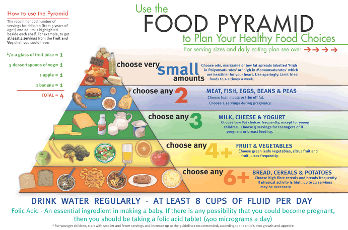 food pyramid worksheets for kids. Food+pyramid+worksheets+